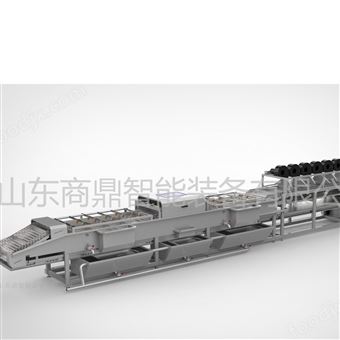 整颗清洗加工线