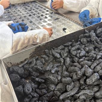 420紫薯干拉伸膜真空包装机 性能优良 耗能低