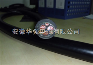 變頻電纜BPYJVPX12R-TK廠家