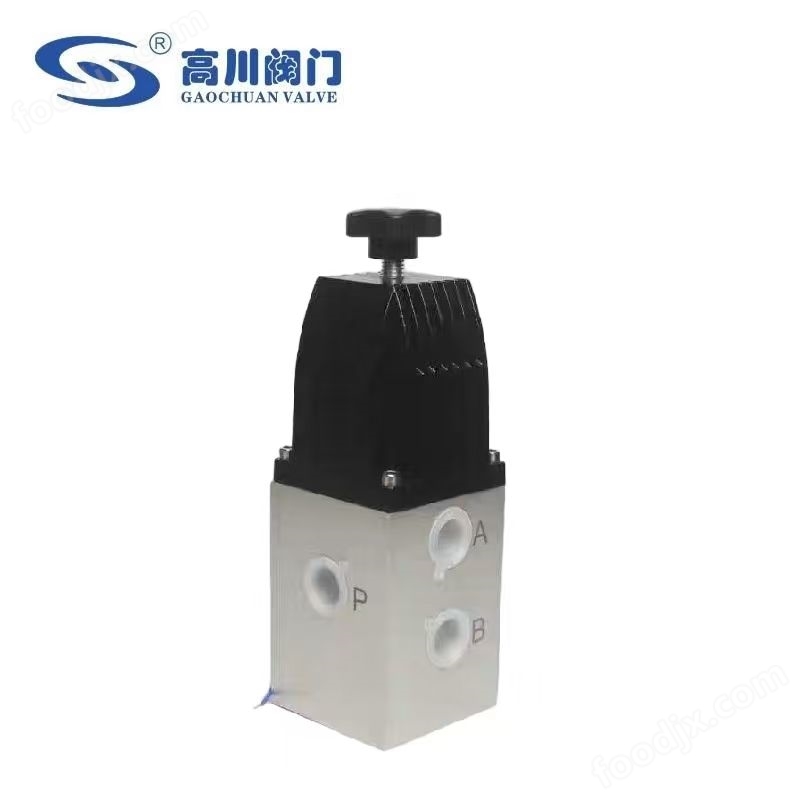 24DHS 排泥閥專用電磁閥