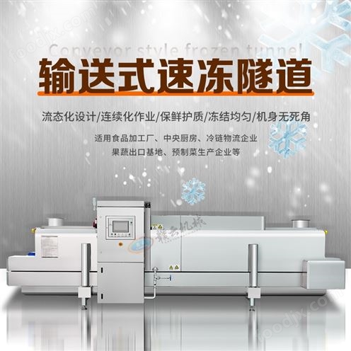 赣云牌隧道式液氮速冻机网链输送式传输