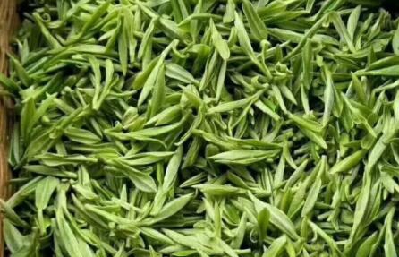 浙江省茶叶产业协会关于批准《武义抹茶》等两项团体标准立项的通知