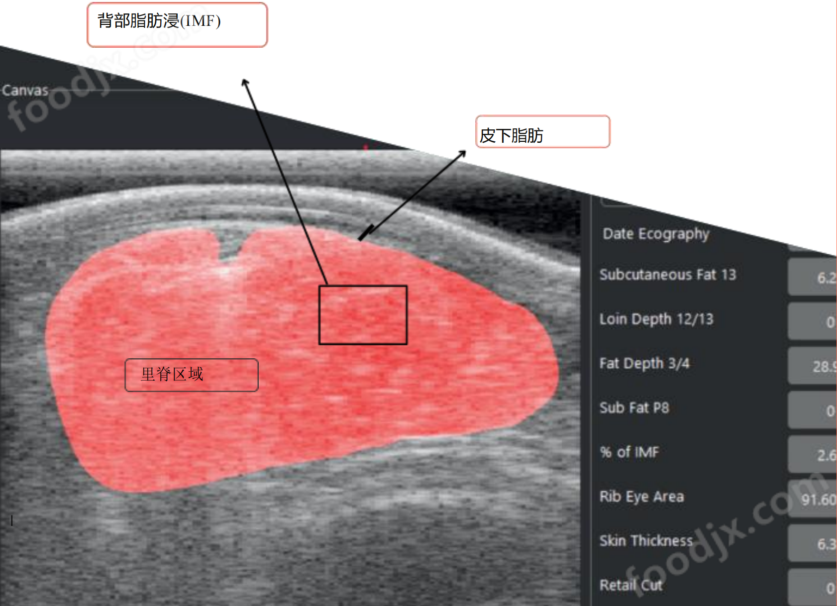 活體牛肉質(zhì)量測(cè)定系統(tǒng)