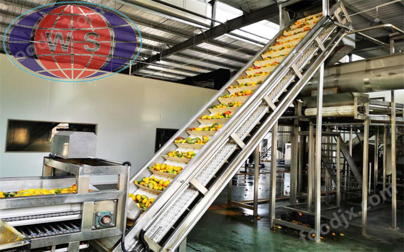 鲜果果汁生产线