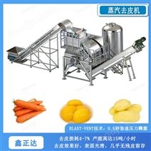 鑫正达桃子 葡萄蒸汽去皮设备
