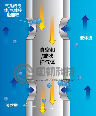 图片 2(1).png