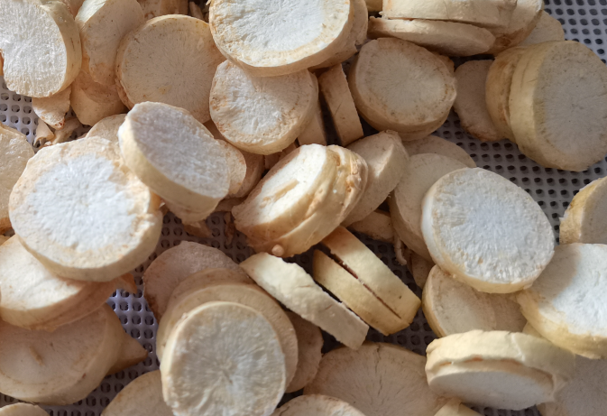 fe7f9d7b-7733-4ea8-91da-1771281f16bc