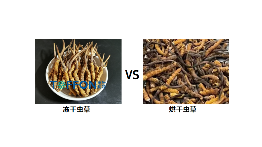 627845a1-bf4f-4141-9803-400b39537828