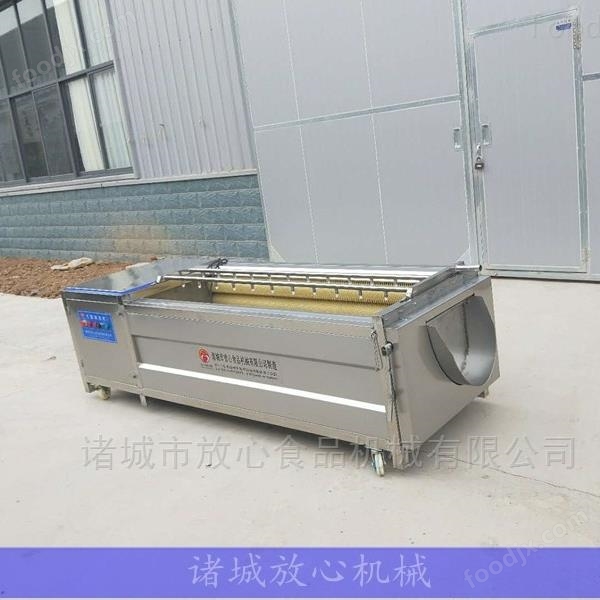 鐵皮石斛清洗機(jī)中藥材清洗加工流水線